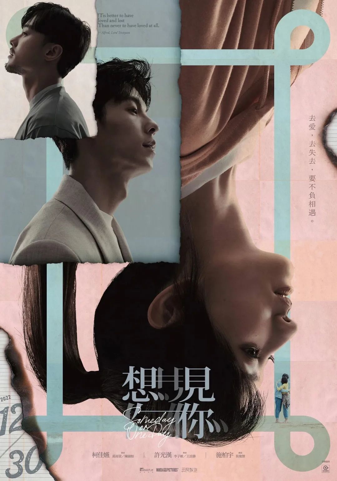 高分新片速递的指南解读都在聊什么？